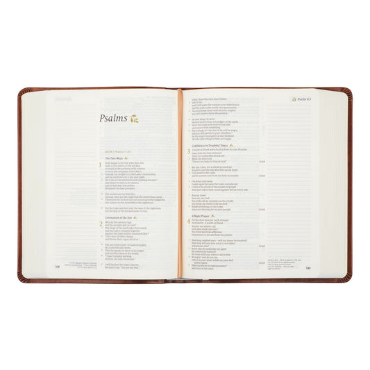 The Mercy Collection (CSB Notetaking Bible)